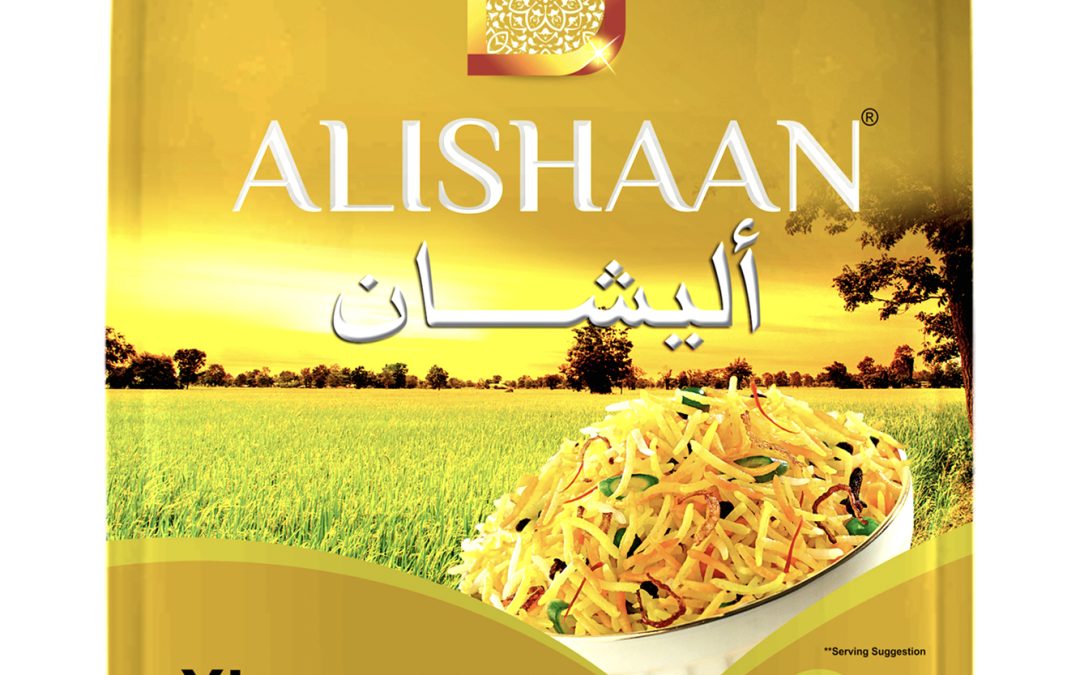 Alishasn XL Sella
